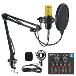 Professional Condenser Microphone with V8 Sound Card – Studio Recording Kit for Streaming, Podcasts & Music