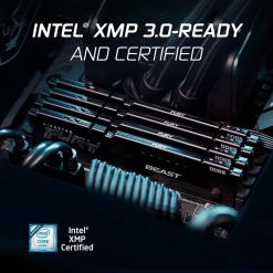 وحدة ذاكرة RAM Kingston FURY Beast بسعة 16GB‏ x1، من نوع DDR5 وتردد 6000MHz، لسطح المكتب، بتصميم غير مزوّد بإضاءة RGB، لأجهزة الكمبيوتر المخصصة للألعاب والأداء